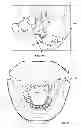 Fig. 08 - Dental patient models