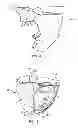 Fig. 09 - Dental patient models