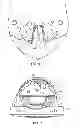 Fig. 10 - Dental patient models