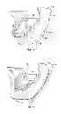 Fig. 12 - Dental patient models