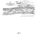 Fig. 04 - Methods of Diagnosing and Treating an Inflammatory Response