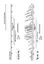 Fig. 02 - DETECTION OF NUCLEIC ACID SEQUENCES ADJACENT TO REPEATED SEQUENCES