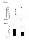 Fig. 09 - DETECTION OF NUCLEIC ACID SEQUENCES ADJACENT TO REPEATED SEQUENCES