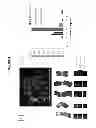 Fig. 07 - Genetic barcodes