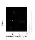 Fig. 19 - Genetic barcodes