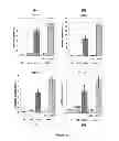 Fig. 32 - PDX1-expressing dorsal and ventral foregut endoderm