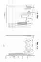 Fig. 37 - PDX1-expressing dorsal and ventral foregut endoderm