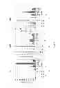 Fig. 44 - PDX1-expressing dorsal and ventral foregut endoderm