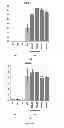 Fig. 50 - PDX1-expressing dorsal and ventral foregut endoderm