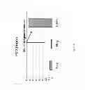 Fig. 56 - PDX1-expressing dorsal and ventral foregut endoderm