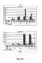 Fig. 63 - PDX1-expressing dorsal and ventral foregut endoderm
