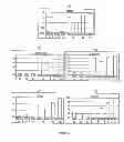 Fig. 64 - PDX1-expressing dorsal and ventral foregut endoderm