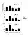 Fig. 06 - METHOD FOR DETERMINING CANCER PROGNOSIS