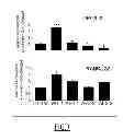 Fig. 08 - METHOD FOR DETERMINING CANCER PROGNOSIS