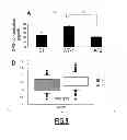 Fig. 09 - METHOD FOR DETERMINING CANCER PROGNOSIS