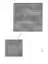 Fig. 09 - Method for the diagnosis of a carcinoma and uses thereof