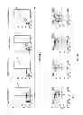 Fig. 15 - Expression of secreted and cell-surface polypeptides
