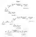 Fig. 02 - Nitrilases, nucleic acids encoding them and methods for making and using them