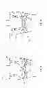 Fig. 06 - Mammography brassiere