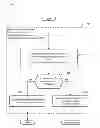 Fig. 07 - Wireless terminal surveillance system