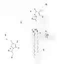 Fig. 09 - DRUG SCREENING METHOD, COMPOSITIONS AND METHODS OF TREATING GLAUCOMA