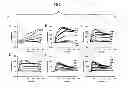 Fig. 02 - GPR35 Ligands And Uses Thereof