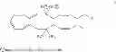 Fig. 28 - COMPOSITIONS AND METHODS FOR THE TREATMENT OF INFLAMMATORY DISEASE