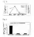 Fig. 02 - Antibacterial resin composition