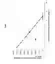 Fig. 06 - Pharmaceutical composition comprising (1r,4r)-6′-fluoro-N, N-dimethyl-4-phenyl-4,9′-dihydro-3′H-spiro[cyclohexane-1,1′-pyrano[3,4,b]indol]-4-amine and an anticonvulsant