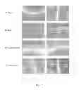 Fig. 08 - Nuclear transport modulators and uses thereof