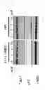 Fig. 07 - Method of treating ischemia/reperfusion injury
