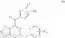 Fig. 06 - THIENOPYRIDINE AND THIENOPYRIMIDINE COMPOUNDS AND METHODS OF USE THEREOF