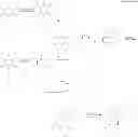 Fig. 07 - Topical antifungal agent