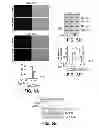 Fig. 06 - Selective reduction of the deleterious activity of extended tri-nucleotide repeat containing genes
