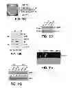 Fig. 11 - Selective reduction of the deleterious activity of extended tri-nucleotide repeat containing genes