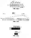 Fig. 12 - Selective reduction of the deleterious activity of extended tri-nucleotide repeat containing genes