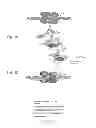 Fig. 02 - AGENTS, COMPOSITIONS AND METHODS FOR TREATING PATHOLOGIES IN WHICH REGULATING AN ACHE-ASSOCIATED BIOLOGICAL PATHWAY IS BENEFICIAL