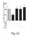 Fig. 04 - AGENTS, COMPOSITIONS AND METHODS FOR TREATING PATHOLOGIES IN WHICH REGULATING AN ACHE-ASSOCIATED BIOLOGICAL PATHWAY IS BENEFICIAL