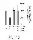Fig. 13 - AGENTS, COMPOSITIONS AND METHODS FOR TREATING PATHOLOGIES IN WHICH REGULATING AN ACHE-ASSOCIATED BIOLOGICAL PATHWAY IS BENEFICIAL