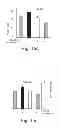 Fig. 19 - AGENTS, COMPOSITIONS AND METHODS FOR TREATING PATHOLOGIES IN WHICH REGULATING AN ACHE-ASSOCIATED BIOLOGICAL PATHWAY IS BENEFICIAL
