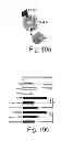 Fig. 23 - AGENTS, COMPOSITIONS AND METHODS FOR TREATING PATHOLOGIES IN WHICH REGULATING AN ACHE-ASSOCIATED BIOLOGICAL PATHWAY IS BENEFICIAL