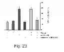 Fig. 27 - AGENTS, COMPOSITIONS AND METHODS FOR TREATING PATHOLOGIES IN WHICH REGULATING AN ACHE-ASSOCIATED BIOLOGICAL PATHWAY IS BENEFICIAL