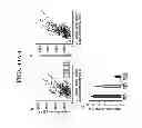 Fig. 49 - AGENTS, COMPOSITIONS AND METHODS FOR TREATING PATHOLOGIES IN WHICH REGULATING AN ACHE-ASSOCIATED BIOLOGICAL PATHWAY IS BENEFICIAL