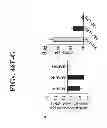 Fig. 53 - AGENTS, COMPOSITIONS AND METHODS FOR TREATING PATHOLOGIES IN WHICH REGULATING AN ACHE-ASSOCIATED BIOLOGICAL PATHWAY IS BENEFICIAL