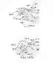 Fig. 41 - Devices, Assemblies, and Methods for Controlling Fluid Flow