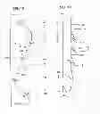 Fig. 02 - Drug-eluting self-retaining sutures and methods relating thereto