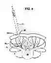Fig. 08 - Methods and devices for spinal fixation element placement