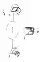 Fig. 06 - System and method for managing pedigree information