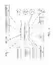Fig. 12 - DEVICE SELECTIVELY STORING AND PRESENTING CRITICAL MEDICAL INFORMATION