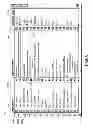 Fig. 10 - Mapping dataset elements